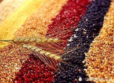 關(guān)于脫殼燕麥米那些你不知道的小知識(shí) 加工谷物產(chǎn)品的健康秘密