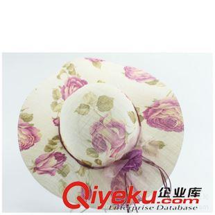 女士大沿帽草帽 新款韓版防曬網紗帽 女士防紫外線沙灘帽大沿帽 蝴蝶結大沿草帽圖片|女士大沿帽草帽 新款韓版防曬網紗帽 女士防紫外線沙灘帽大沿帽 蝴蝶結大沿草帽產品圖片由東莞市新詮釋服飾公司生產提供-企業庫網