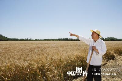 帶著草帽的農民 圖片