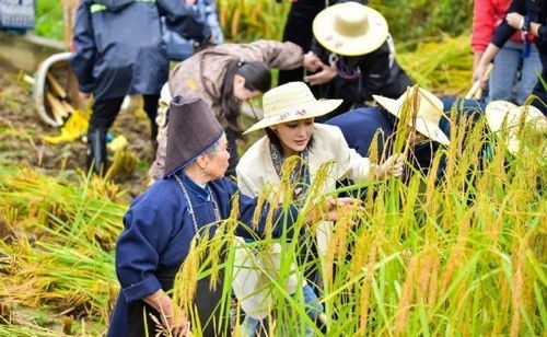 面對(duì)黃圣依的低情商言論,張馨予不僅沒(méi)有生氣,還大度化解尷尬