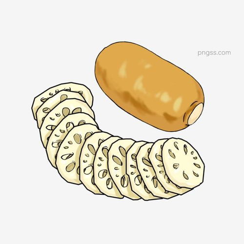 養生美食蓮藕插畫圖片大小2000x2000px 圖片尺寸884.36 kb 來自png搜索網 pngss.com 免費免扣png素材下載 冬季美食 卡通手繪 蓮菜 蓮菜插畫 蓮藕 手繪蓮藕 養生食品