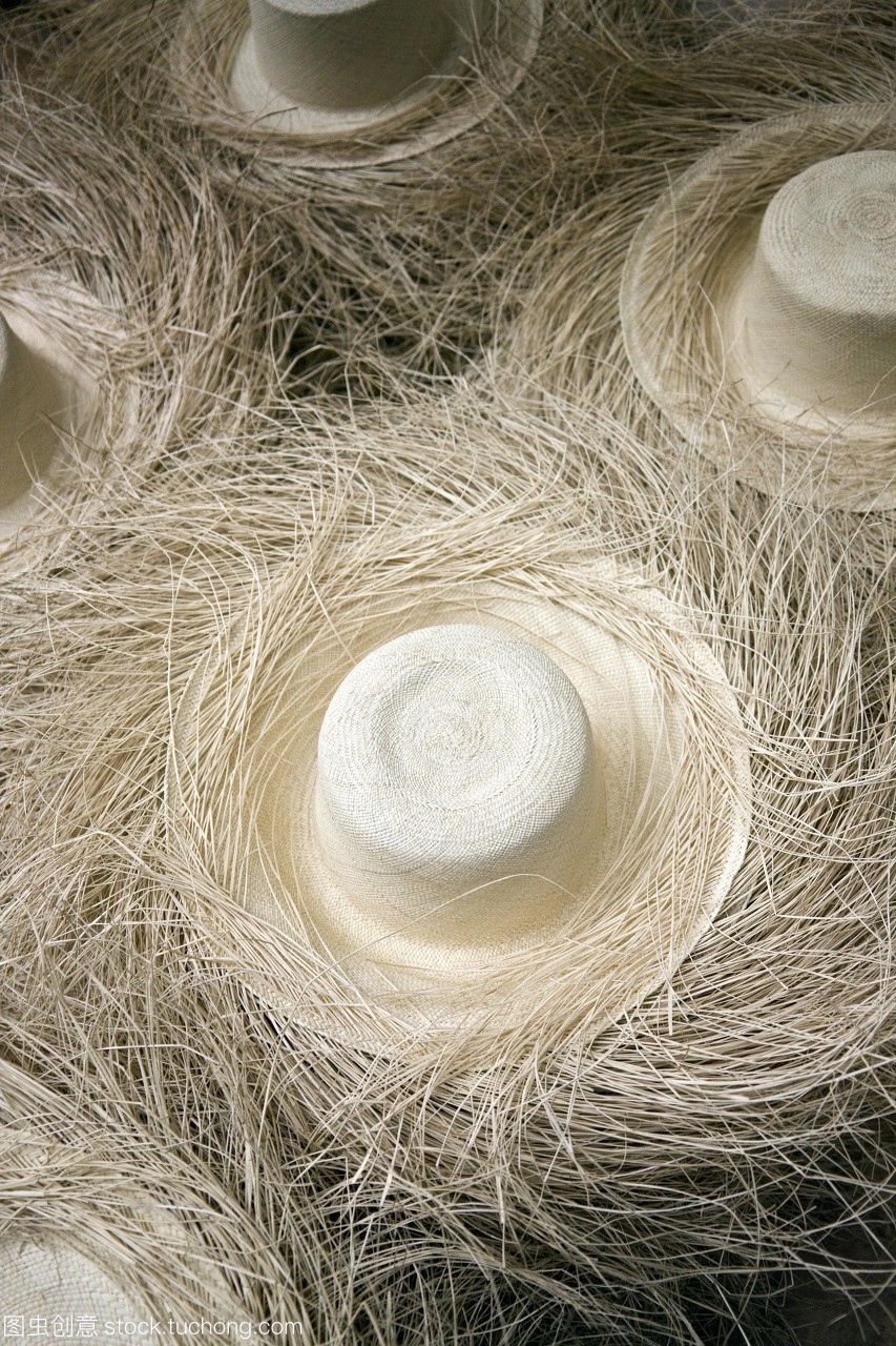 巴拿馬草帽生產。在一家工廠巴拿馬草帽。拍攝在昆卡厄瓜多爾南部。