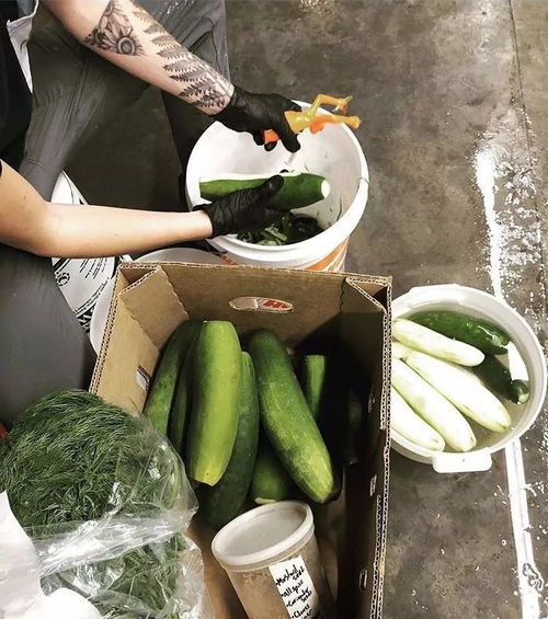 腌黃瓜汁 消暑飲品 比嶗山白花蛇草水更 黑暗 的飲品現(xiàn)身