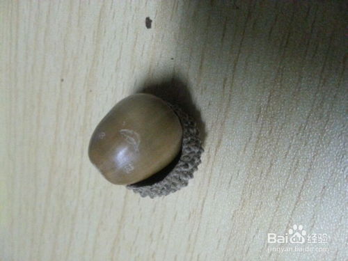 草帽小子 工藝品制作