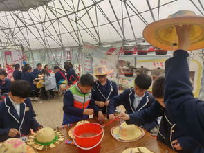 源匯區受降路小學開展研學旅行活動