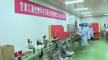 白銀市靖遠(yuǎn)縣:小小肉蓯蓉成就大效益