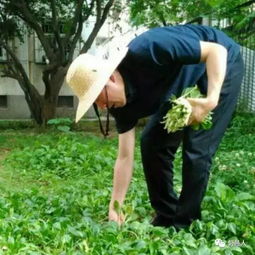 探尋草帽的編織技藝