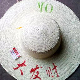 鹿邑草帽加工廠定制各種漂白草帽廣告帽可印字樣穿帽帶質(zhì)量保證圖片,鹿邑草帽加工廠定制各種漂白草帽廣告帽可印字樣穿帽帶質(zhì)量保證高清圖片 河南鹿邑草帽廠,