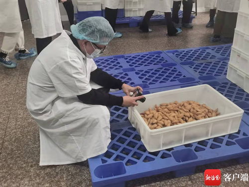海南本土網(wǎng)紅探訪龍泉人食品工廠 為網(wǎng)友安全采購(gòu)年貨 保駕護(hù)航