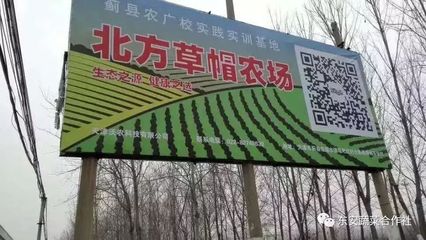 高度認可!唐茂芝博士、中醫農業聯盟劉蘇華秘書長蒞臨北方草帽農場指導